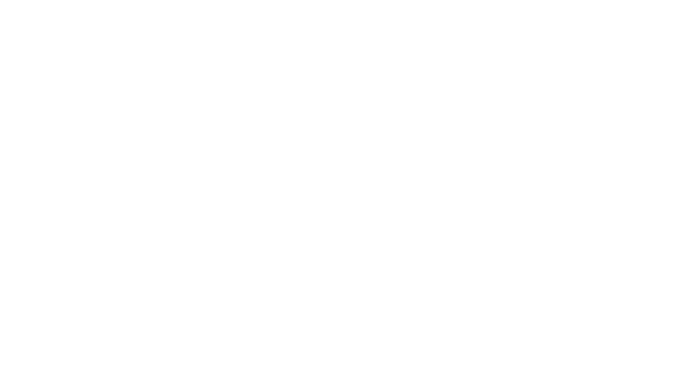 SEECO - Sosyal Girişimcilik, Güçlendirme ve Uyum Projesi 